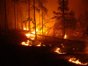 wildfire fireproofing