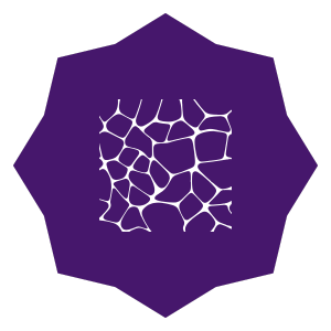 stone icon